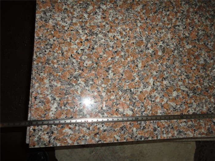 G562B-03.jpg