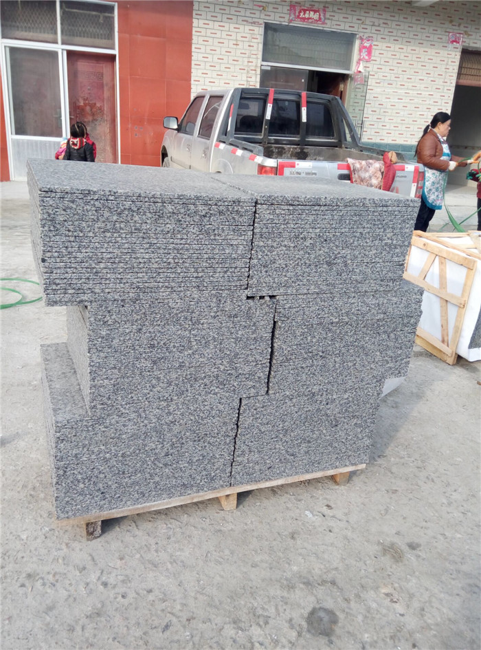 G602-06.jpg