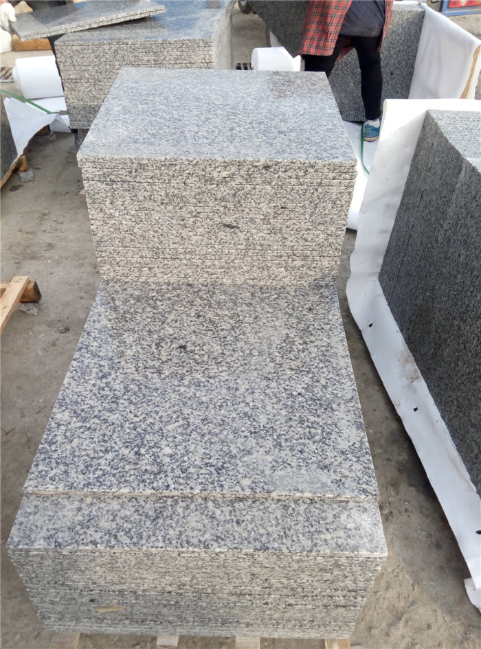 G602-08.jpg