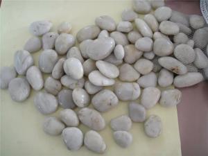 White pebble